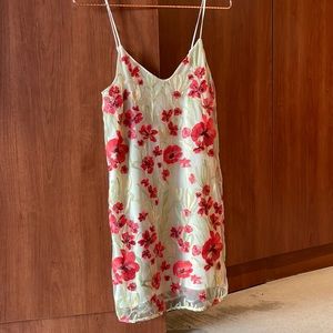 Aritzia Little Moon embroidered dress